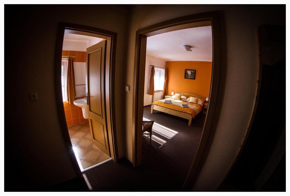 Horsky Hotel Snezenka Hynčice pod Sušinou Extérieur photo