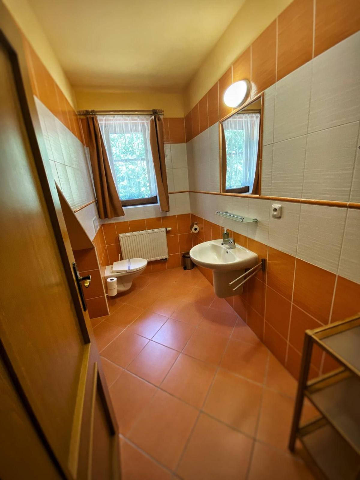 Horsky Hotel Snezenka Hynčice pod Sušinou Extérieur photo